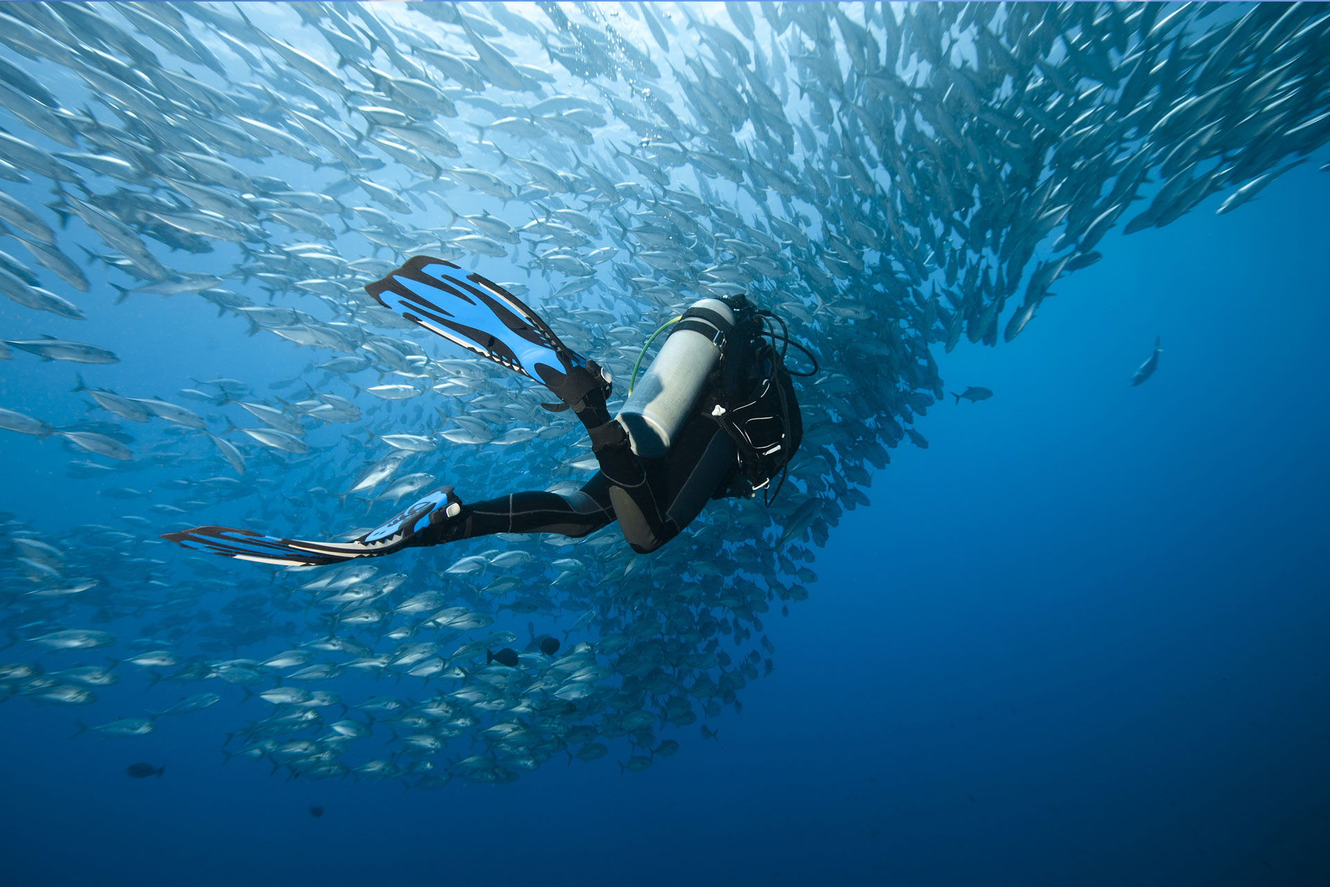 Best-Scuba-Diving-destination-in-the-Philippines